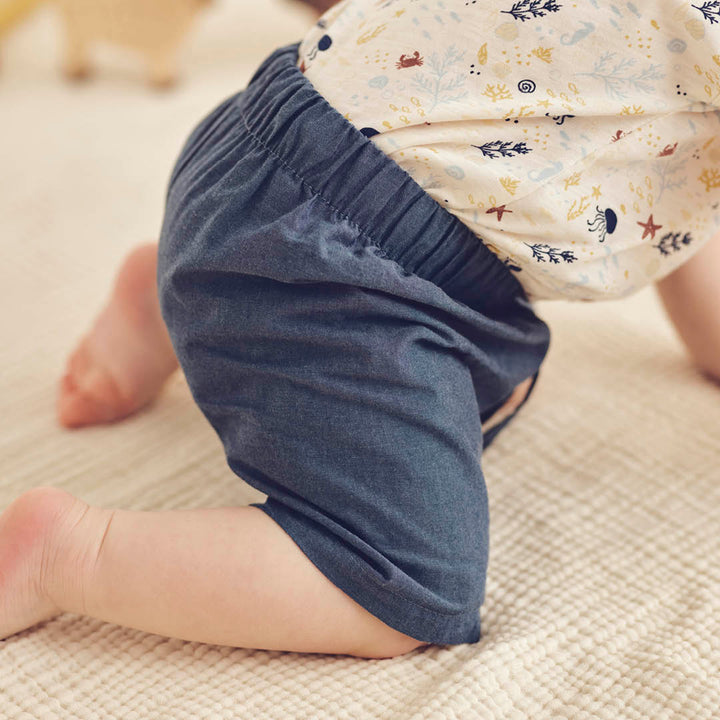 müsli CHAMBRAY shorts Pants Chambray 563018901