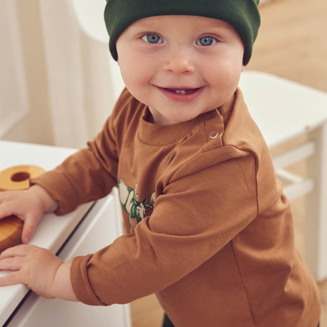 müsli Cozy Me Moose L/S T Baby L_S Tee Cashew 018103003
