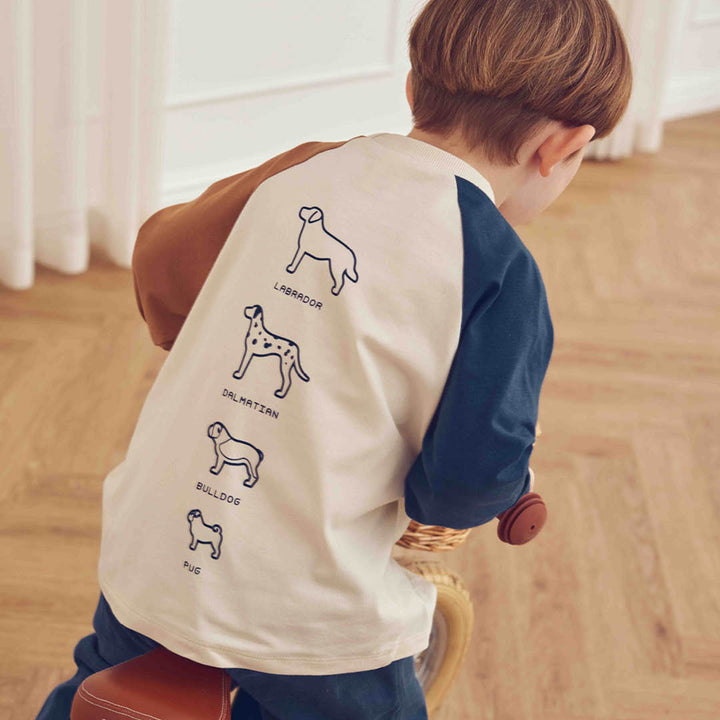 müsli Dogs Color Block L/S T L_S Tee Oak 013040001