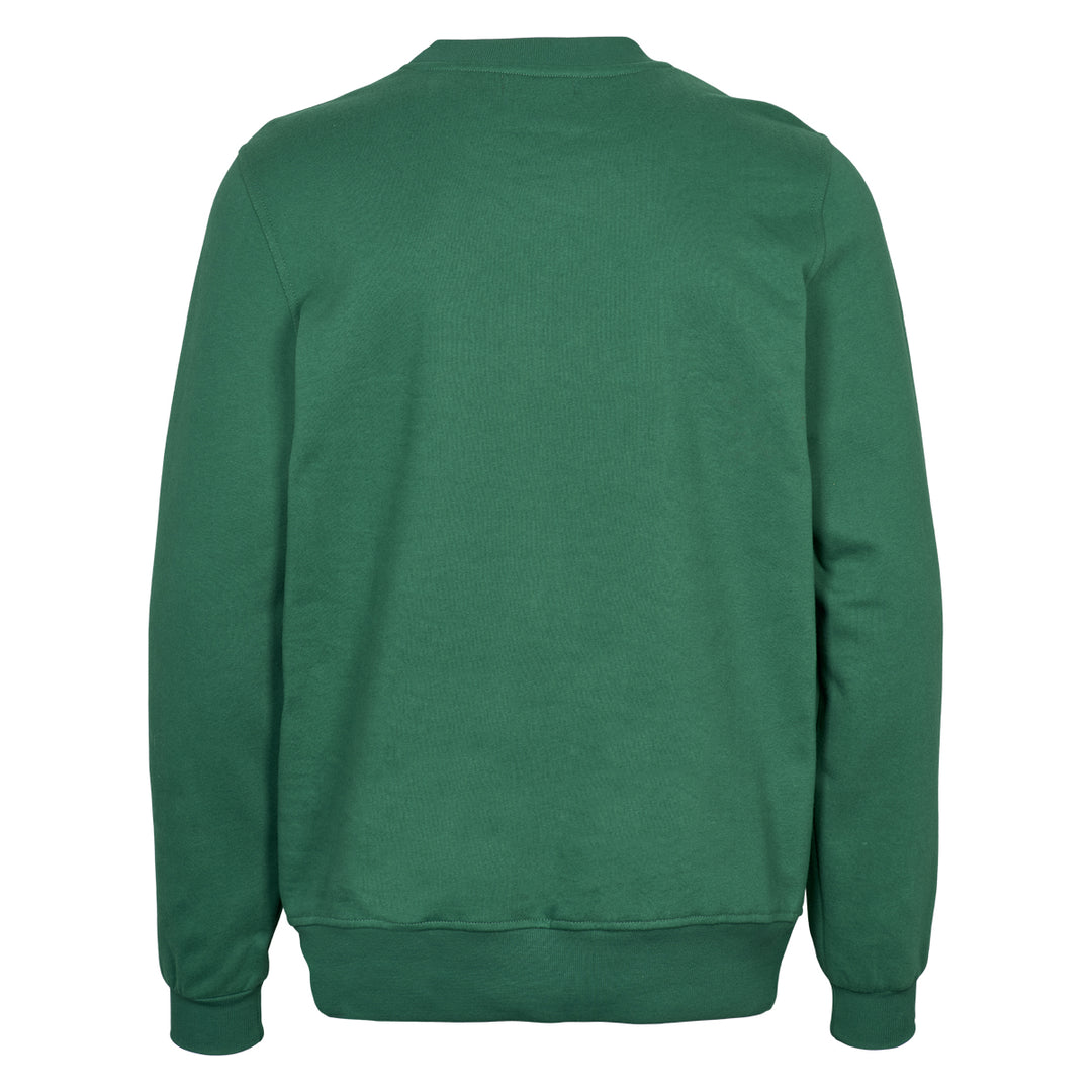 Conservandum MEN'S sweatshirt Sweatshirt Pine 018571802