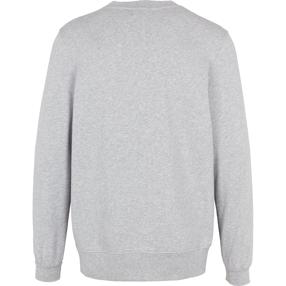 Conservandum Sweatshirt L_S Tee Pale greymarl 207670000