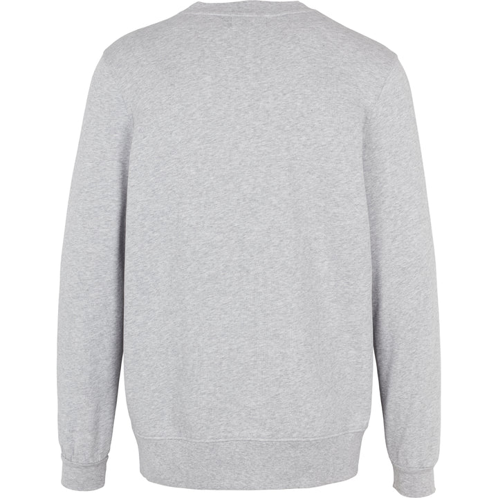 Conservandum Sweatshirt L_S Tee Pale greymarl 207670000